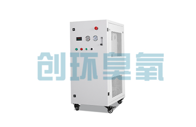 永川比传统换水更高效?臭氧发生器在石斑鱼养殖中的水质净化原理解析